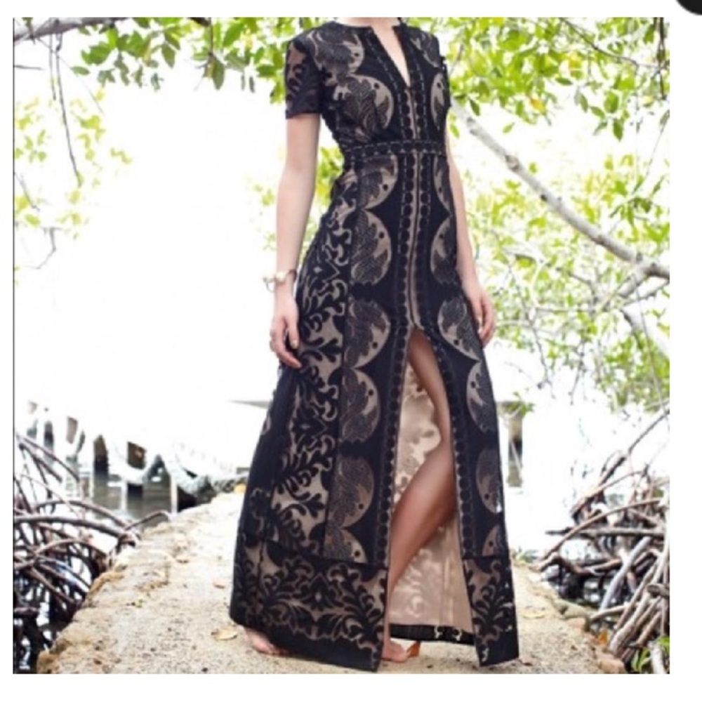 NWT BCBG MaxAzria Cailean Gown - 4